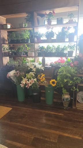 Florist «Barnes House Of Flowers», reviews and photos, 866 N Colony Rd, Wallingford, CT 06492, USA