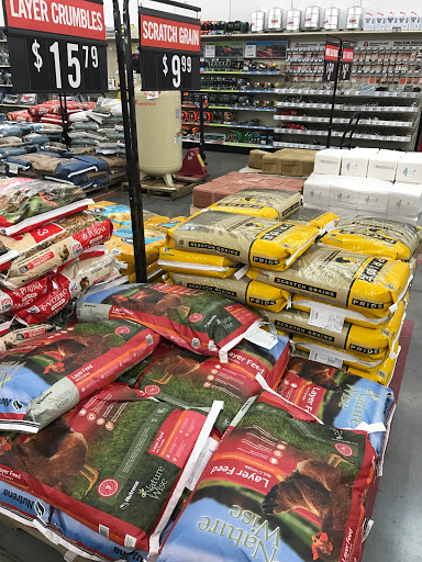 Home Improvement Store «Tractor Supply Co.», reviews and photos, 1000 American Way, Windsor, CA 95492, USA