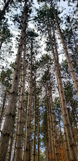 Nature Preserve «Sutherland Nature Sanctuary», reviews and photos, 3998 Diehl Rd, Metamora, MI 48455, USA