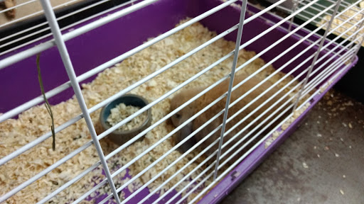 Pet Store «Wildside Pets», reviews and photos, 1042 N Higley Rd #105, Mesa, AZ 85205, USA