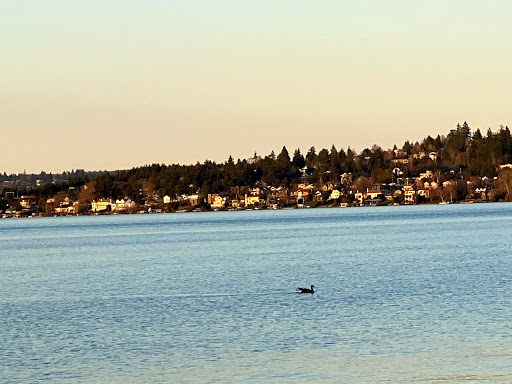 Recreation Center «Mt Baker Rowing & Sailing Center», reviews and photos, 3800 Lake Washington Blvd S, Seattle, WA 98118, USA