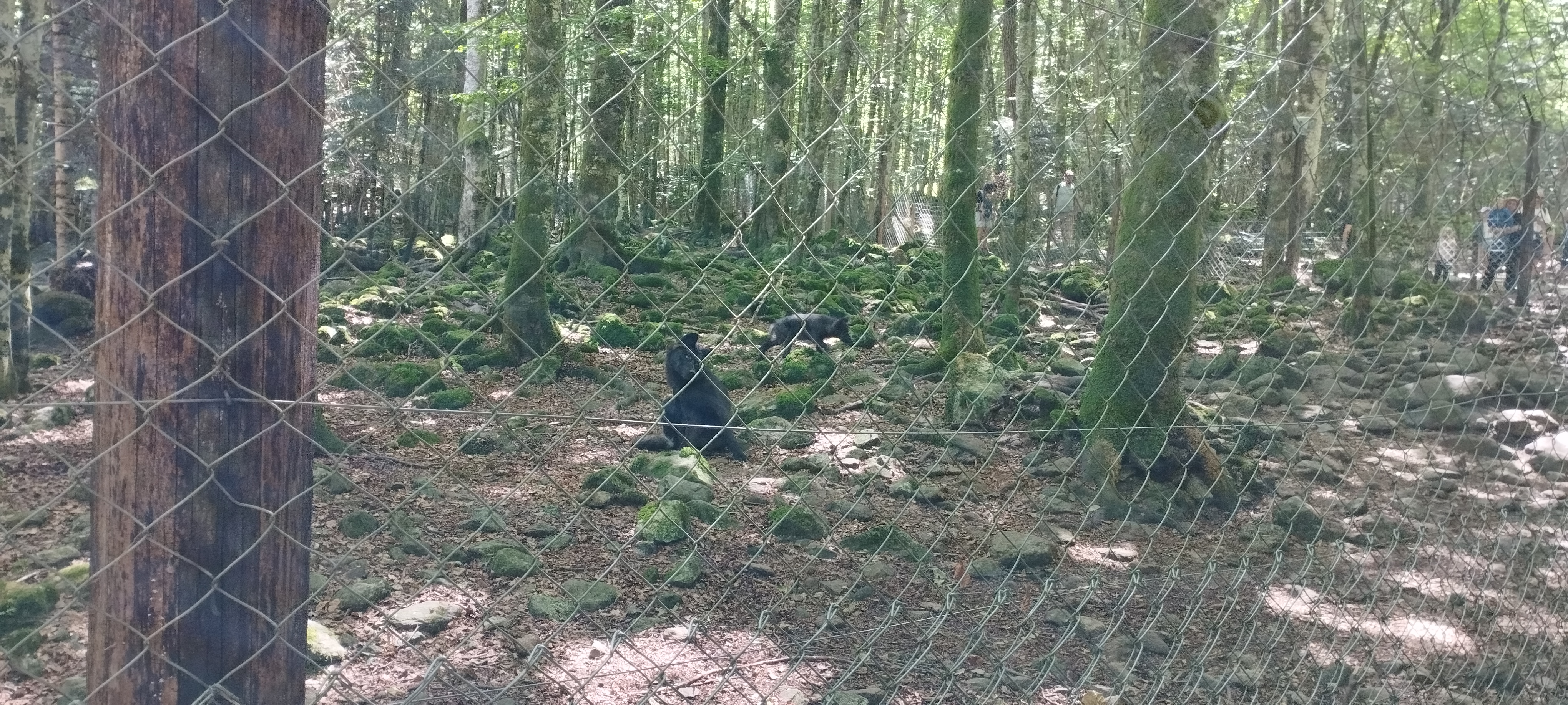 Photo n° 1 de l'avis de Fabrice.e fait le 19/08/2023 à 21:56