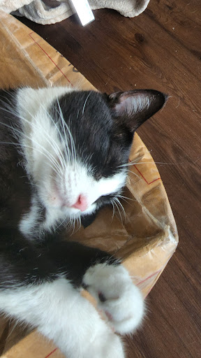 Pet Supply Store «PetSmart», reviews and photos, 4550 W Lake Mary Blvd, Lake Mary, FL 32746, USA