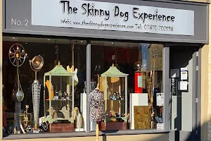 The Skinny Dog Experience image