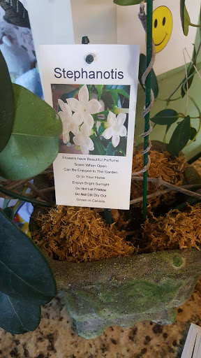 Florist «Stoughton Flower Shop», reviews and photos, 681 Washington St, Stoughton, MA 02072, USA