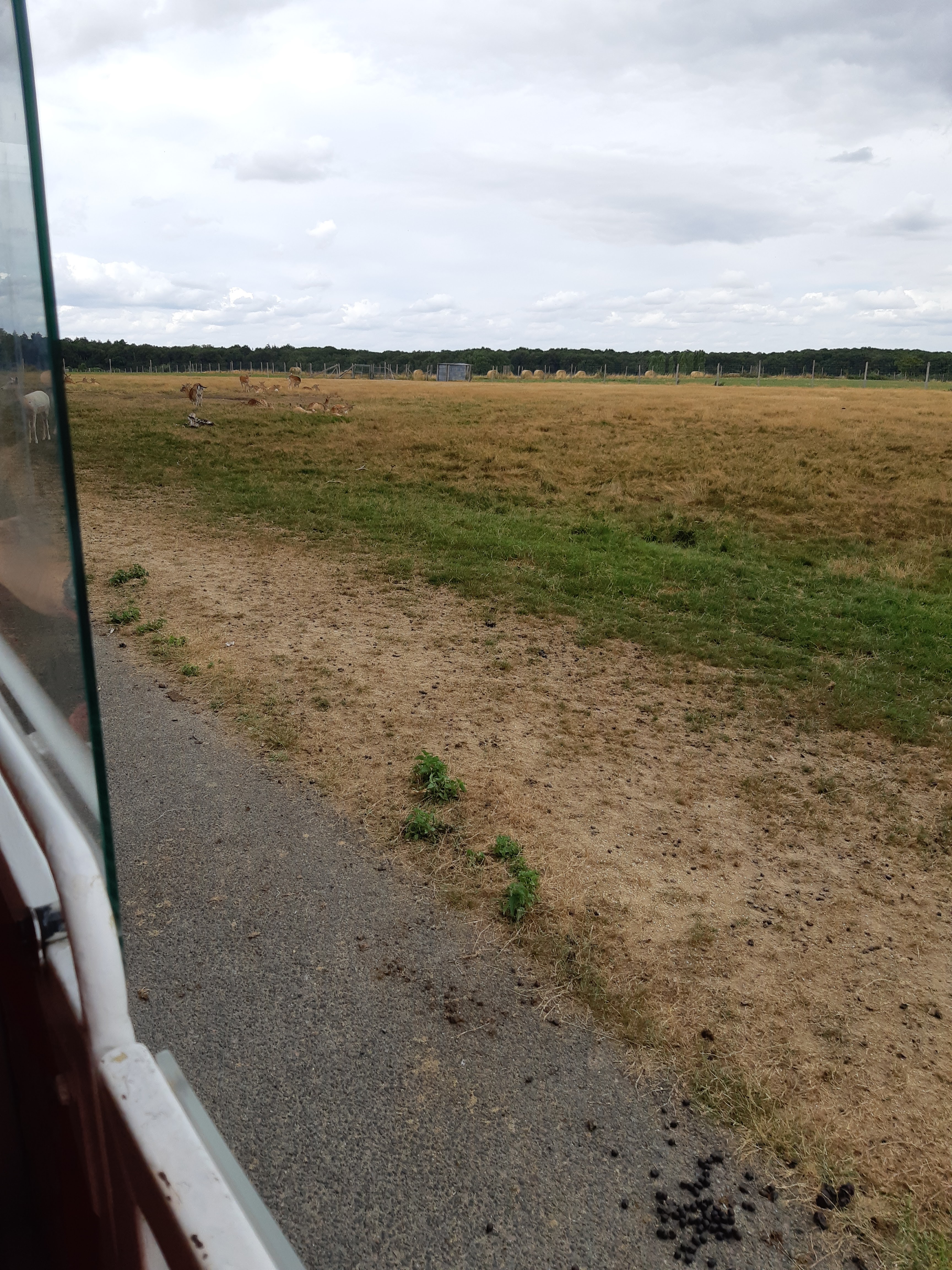 Photo n° 15 de l'avis de Carla.a fait le 10/08/2018 à 15:54