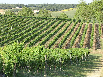 Les Vignerons du Quercy La Cave à Montpezat-de-Quercy