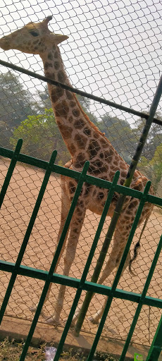 Personal Injury Attorney «Law Offices of Matthew D. Dubin», reviews and photos