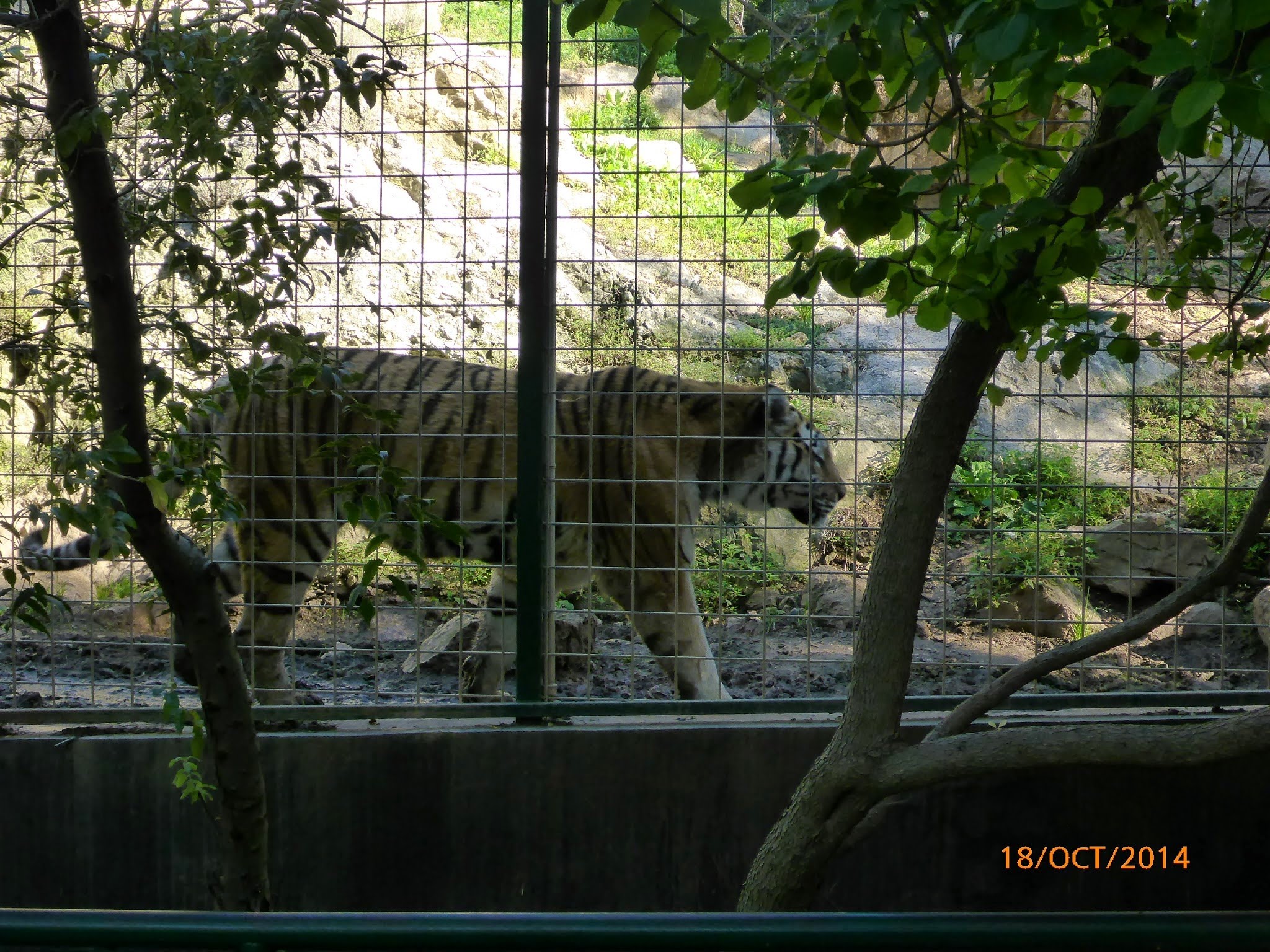 Photo n° 11 de l'avis de Vincent.i fait le 22/08/2018 à 16:43