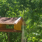 Photo n°1 de l'avis de Gunhild.r fait le 07/05/2018 à 16:47 sur le  Wesemanns Fischerstübchen à Sangerhausen