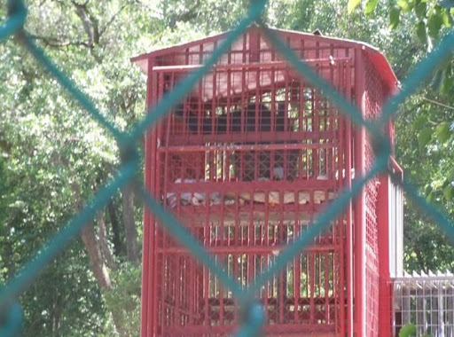 Zoo «Waccatee Zoological Farm», reviews and photos, 8500 Enterprise Rd, Myrtle Beach, SC 29588, USA