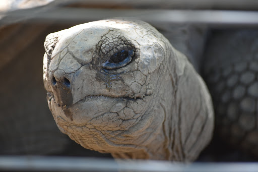 Zoo «Charles Paddock Zoo», reviews and photos, 9100 Morro Rd, Atascadero, CA 93422, USA