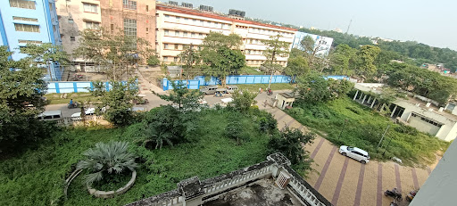 Skateboard Shop «Red Curbs Skate Shop», reviews and photos, 40923 Grimmer Blvd, Fremont, CA 94538, USA