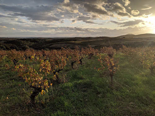 Domaine Montgros à Cabrerolles