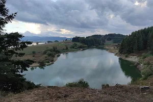 Lago di Cecita image