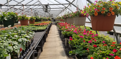 Florist «Laurel Grove Florist», reviews and photos, 16 High St, Port Jervis, NY 12771, USA