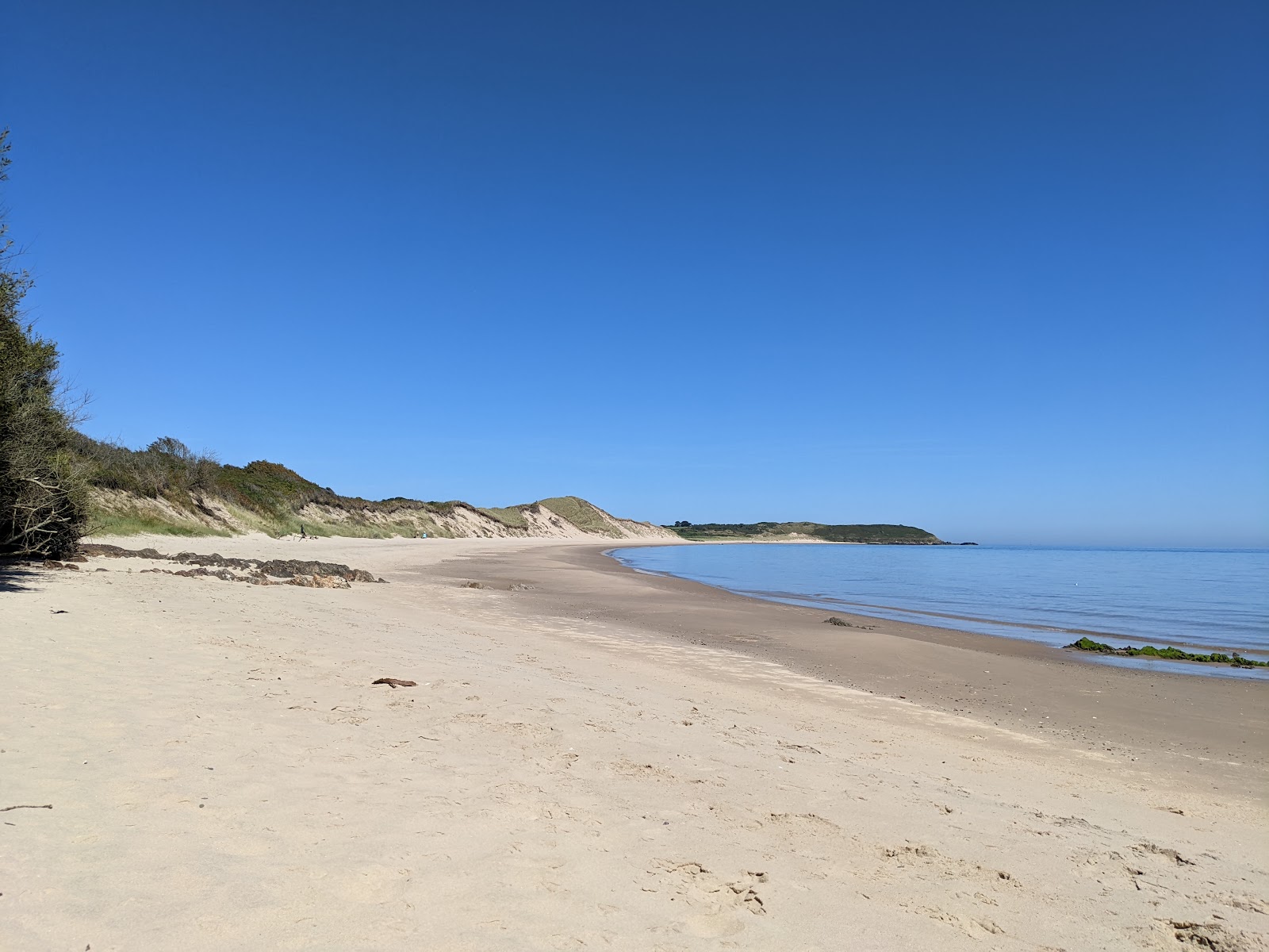 Magherabeg Beach'in fotoğrafı vahşi alan