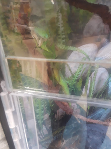 Pet Supply Store «Petco Animal Supplies», reviews and photos, 9311 192nd Ave E, Bonney Lake, WA 98391, USA