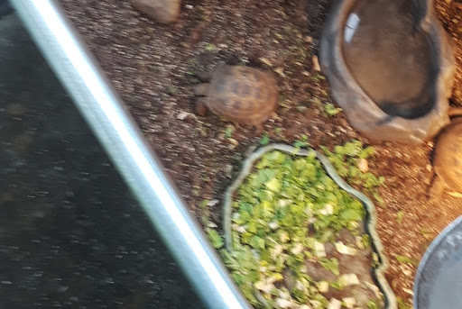 Pet Supply Store «El Granero Feed & Pet Supplies», reviews and photos, 2228 Church Ln, San Pablo, CA 94806, USA