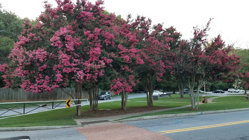 Park «Cleveland Park», reviews and photos, Cleveland Park Drive & East Washington, Greenville, SC 29601, USA