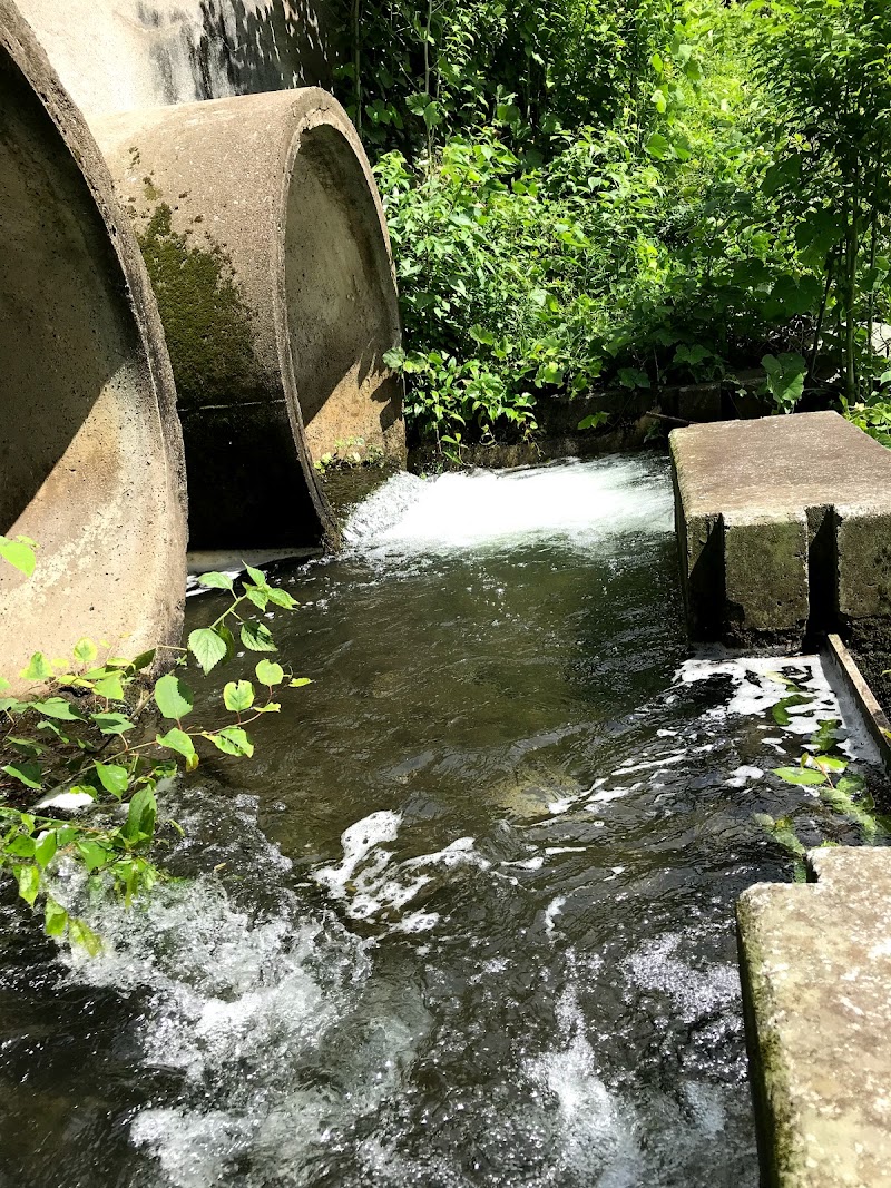 内ヶ磯ダム（福智山池）の円筒分水