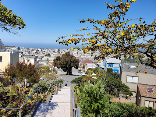 Tourist Attraction «16th Avenue Tiled Steps», reviews and photos, 16th Ave, San Francisco, CA 94122, USA