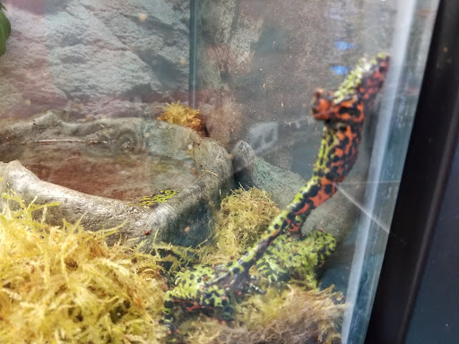 Pet Supply Store «Petco Animal Supplies», reviews and photos, 210 Fortune Blvd, Milford, MA 01757, USA