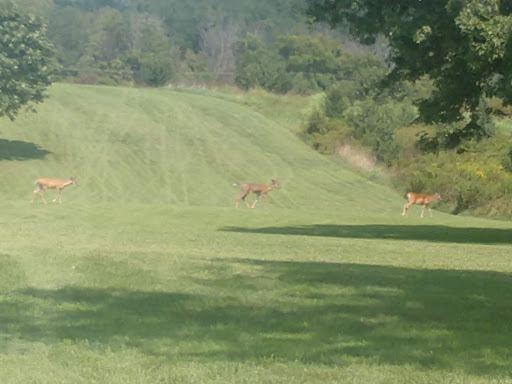 Public Golf Course «Longview Golf Course», reviews and photos, 3243 Frankfort Pike, Georgetown, KY 40324, USA