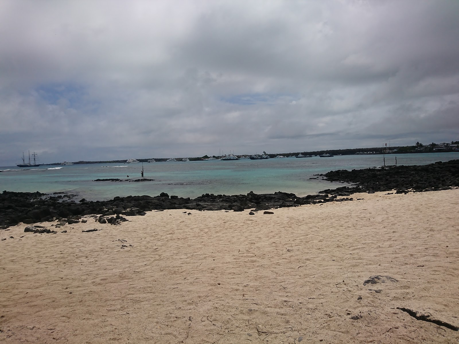 Foto de Playa de la Estacion área selvagem