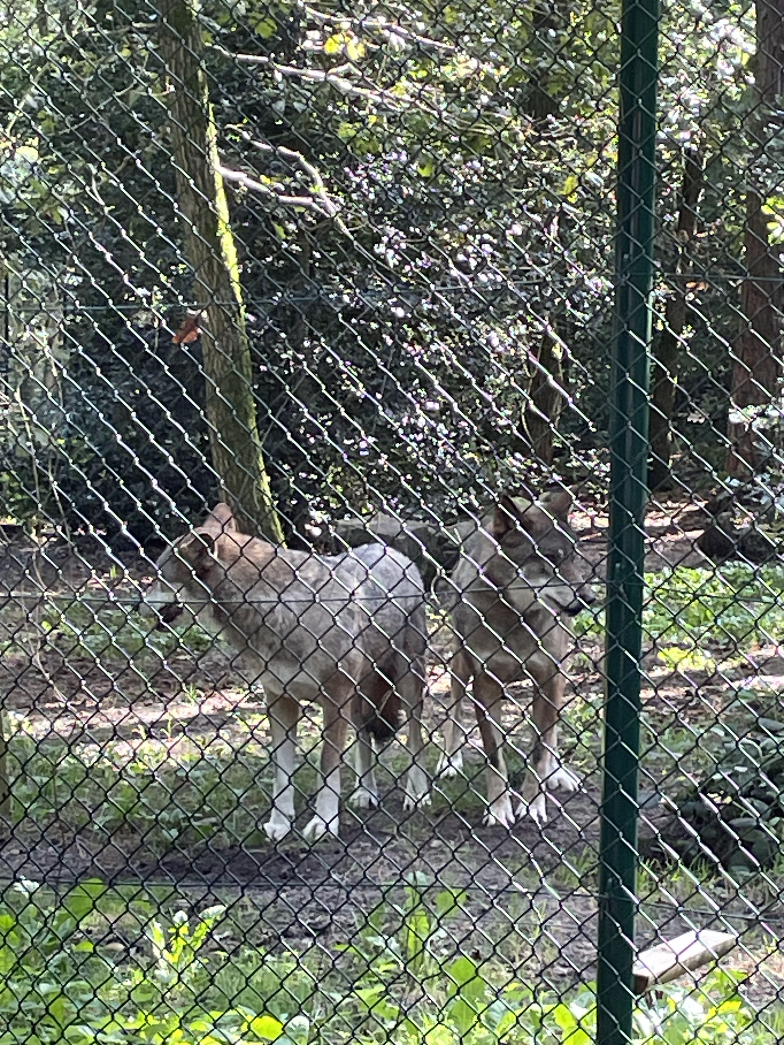 Photo n° 39 de l'avis de catherine.h fait le 22/08/2023 à 10:19