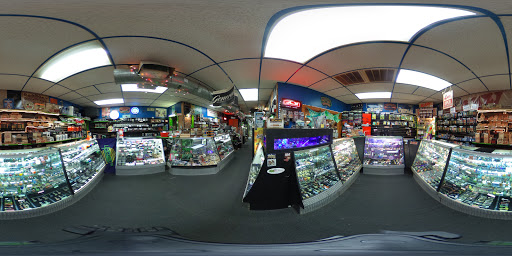 Tobacco Shop «Knuckleheads Tobacco & Gifts», reviews and photos, 550 State St, Madison, WI 53703, USA