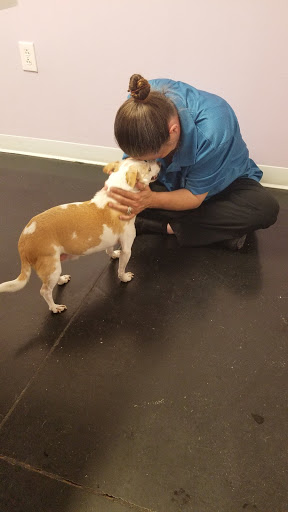 Animal Care of Mobile County image