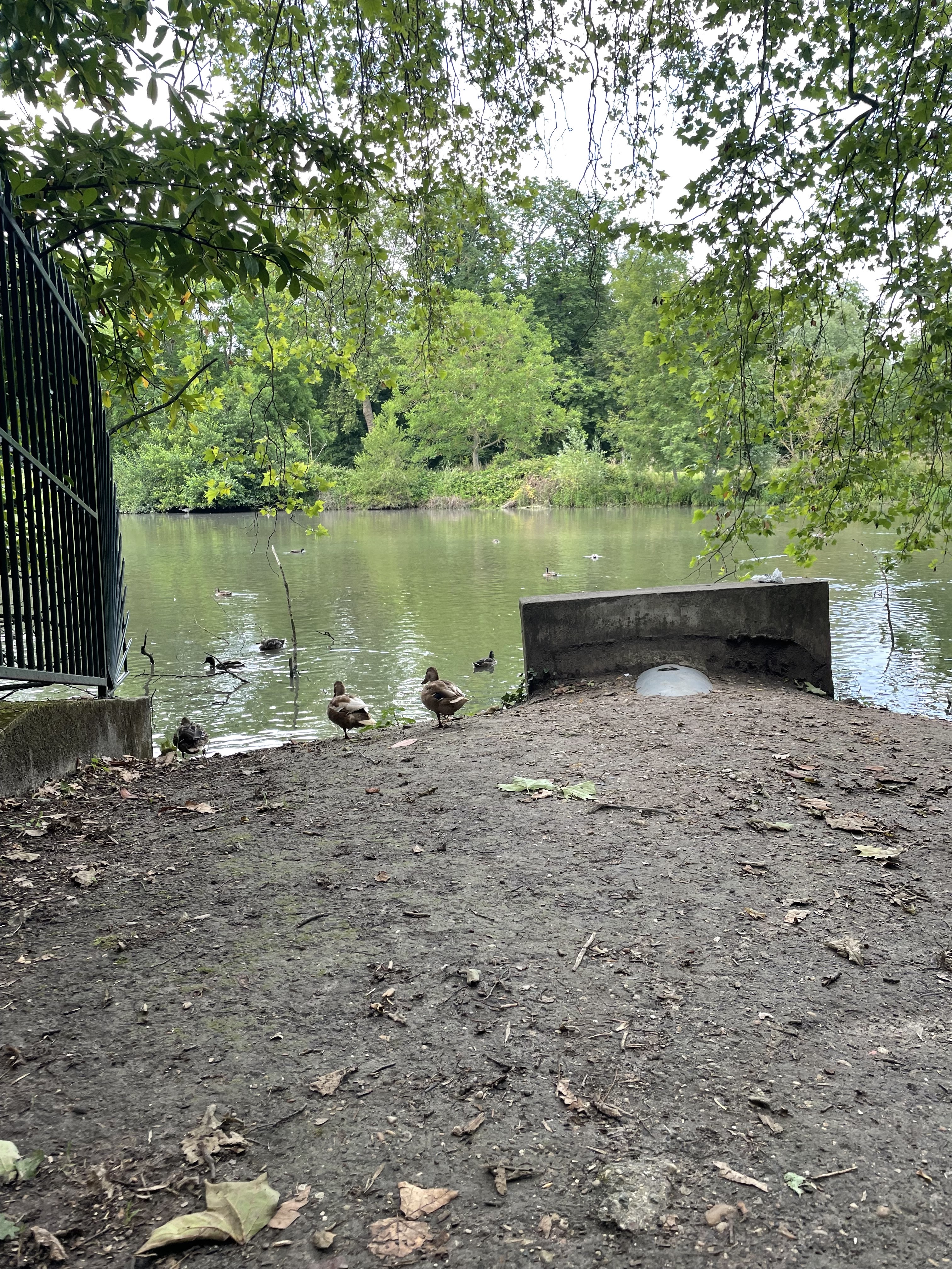 Photo n° 1 de l'avis de Florine.. fait le 02/11/2021 à 08:18