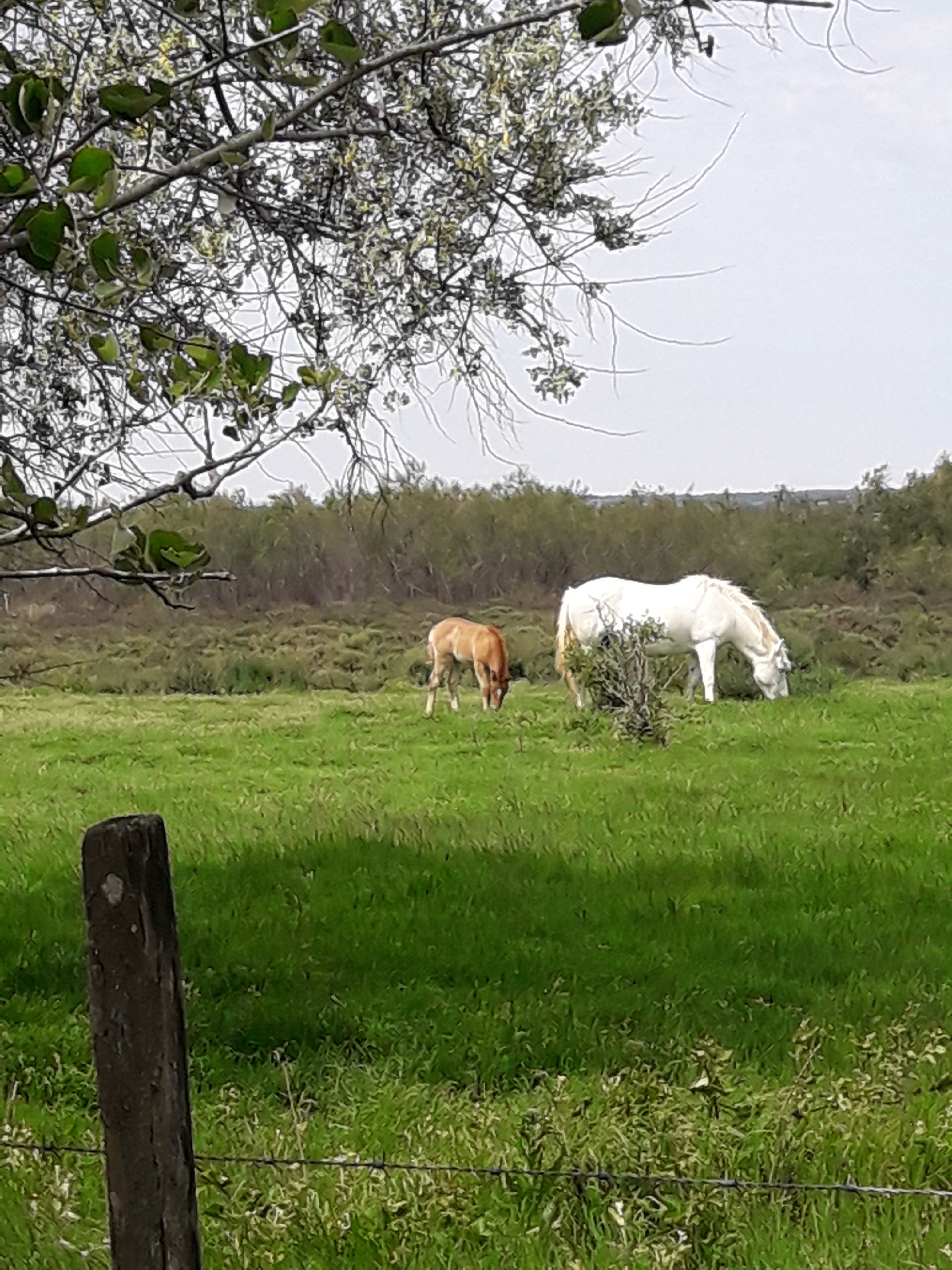 Photo n° 9 de l'avis de Mireille.o fait le 07/05/2018 à 14:34