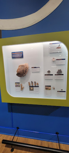 Museum «Museum», reviews and photos, 2142 Southern Dr, Statesboro, GA 30458, USA