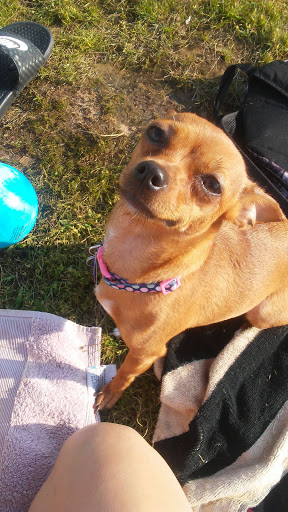 Pet Supply Store «Petco Animal Supplies», reviews and photos, 5925 US-6, Portage, IN 46368, USA