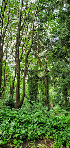 Park «Marine View Park», reviews and photos, 20945 Marine View Dr SW, Normandy Park, WA 98166, USA