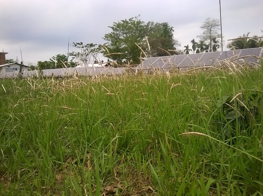 Basugaon College