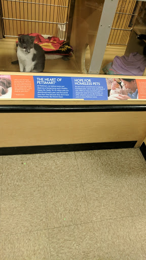 Pet Supply Store «PetSmart», reviews and photos, 971 Norland Ave, Chambersburg, PA 17201, USA