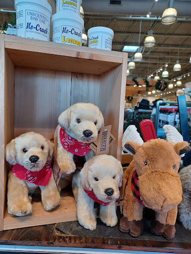 Clothing Store «Duluth Trading Company», reviews and photos, 252 57th Ave NE, Fridley, MN 55432, USA