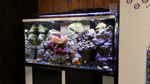 Pet Supply Store «Paws & Claws & Co», reviews and photos, 1801 E Market St, Warsaw, IN 46580, USA