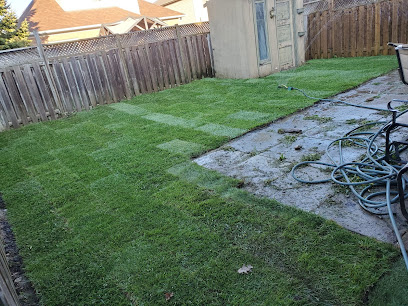 Sodding Canada - Sod Installation & Lawn Replacement