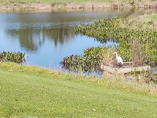 Golf Course «Celebration Golf Club», reviews and photos, 701 Golfpark Dr, Kissimmee, FL 34747, USA