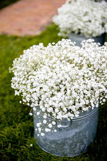 Florist «Evans Flowers & Greenhouse», reviews and photos, 49 Warren St, Peabody, MA 01960, USA