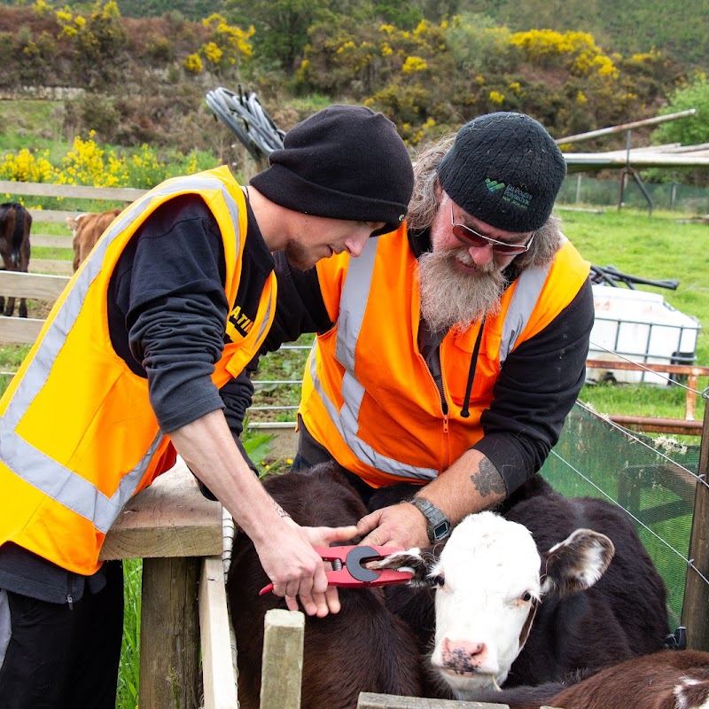 Tai Poutini Polytechnic Reefton Campus