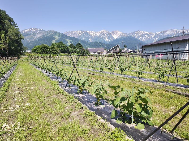 民宿 かくひら館