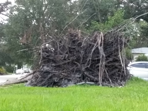 Golf Course «Dubsdread Golf Course», reviews and photos, 549 W Par St, Orlando, FL 32804, USA