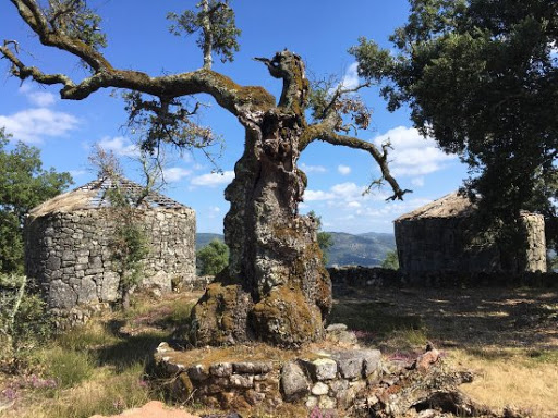 Vestígios arqueológicos nas proximidades Oporto