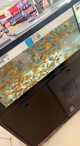 Pet Supply Store «Petco Animal Supplies», reviews and photos, 5239 Harvey St, Norton Shores, MI 49444, USA