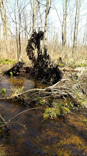 Hiking Area «Cowles Bog Trail», reviews and photos, 1618 N Mineral Springs Rd, Dune Acres, IN 46304, USA